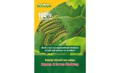 Ecostyle Aaltjes Fc Tegen Larven Bladwesp