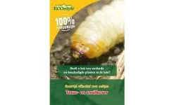 Ecostyle Aaltjes H Tegen Larven Taxuskever