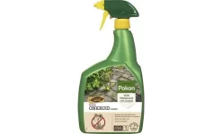 Onkruid Spray, Pokon, 1 Ltr