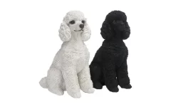 Poedel, Wit, Polystone, L 27 Cm, B 15 Cm, H 32 Cm