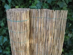 Rietmat Puszta L150b200cm